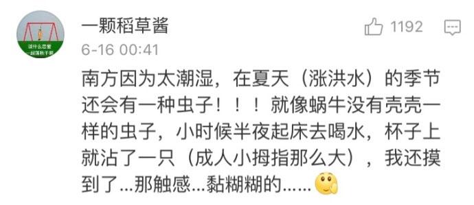 作为一个南方人应该知道的事情