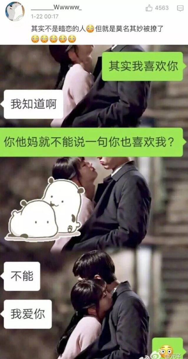 给ta发消息“其实我喜欢你”收到的回应, 被强塞了一把狗粮