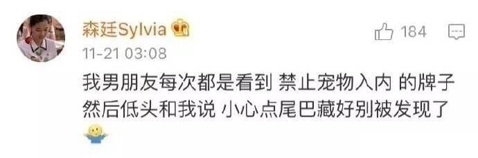 试问这样的男朋友谁能拒绝?