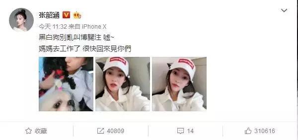 张韶涵发博“黑白狗”疑似怼范玮琪夫妇