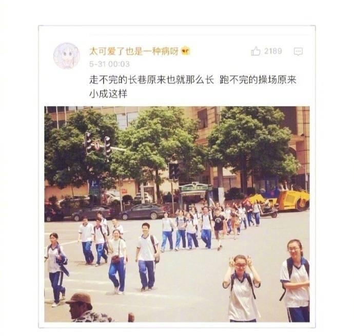 距毕业不足80天, 愿你走出半生, 归来仍是少年