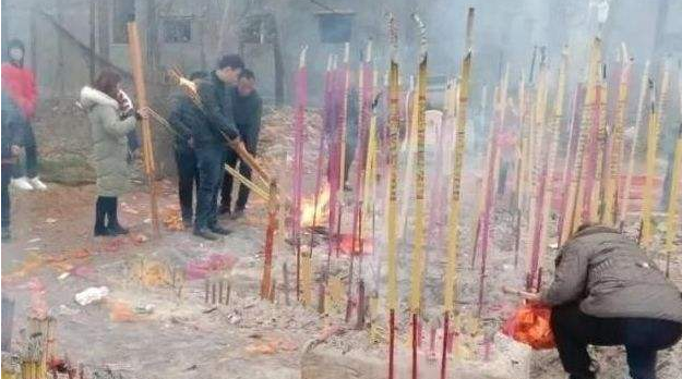 5米高粱引跪拜? 总有一些植物不好好长, 非要“成精”!