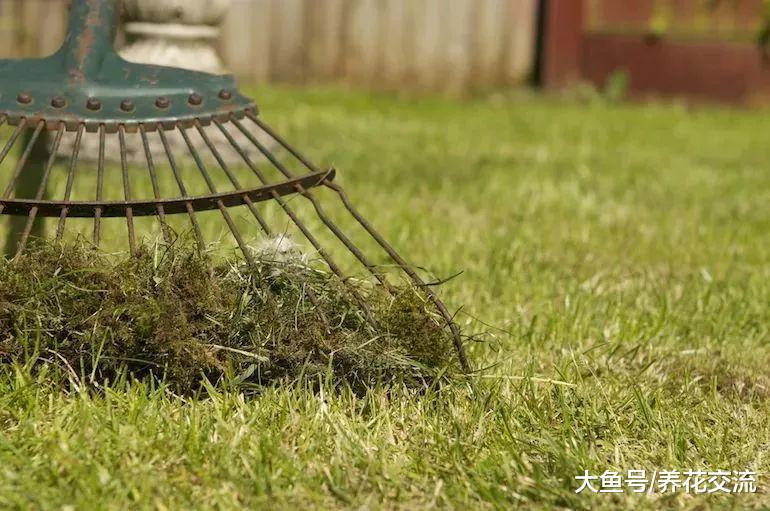 秋末打理庭院花园需要做好的10个准备, 养花也要注意细节