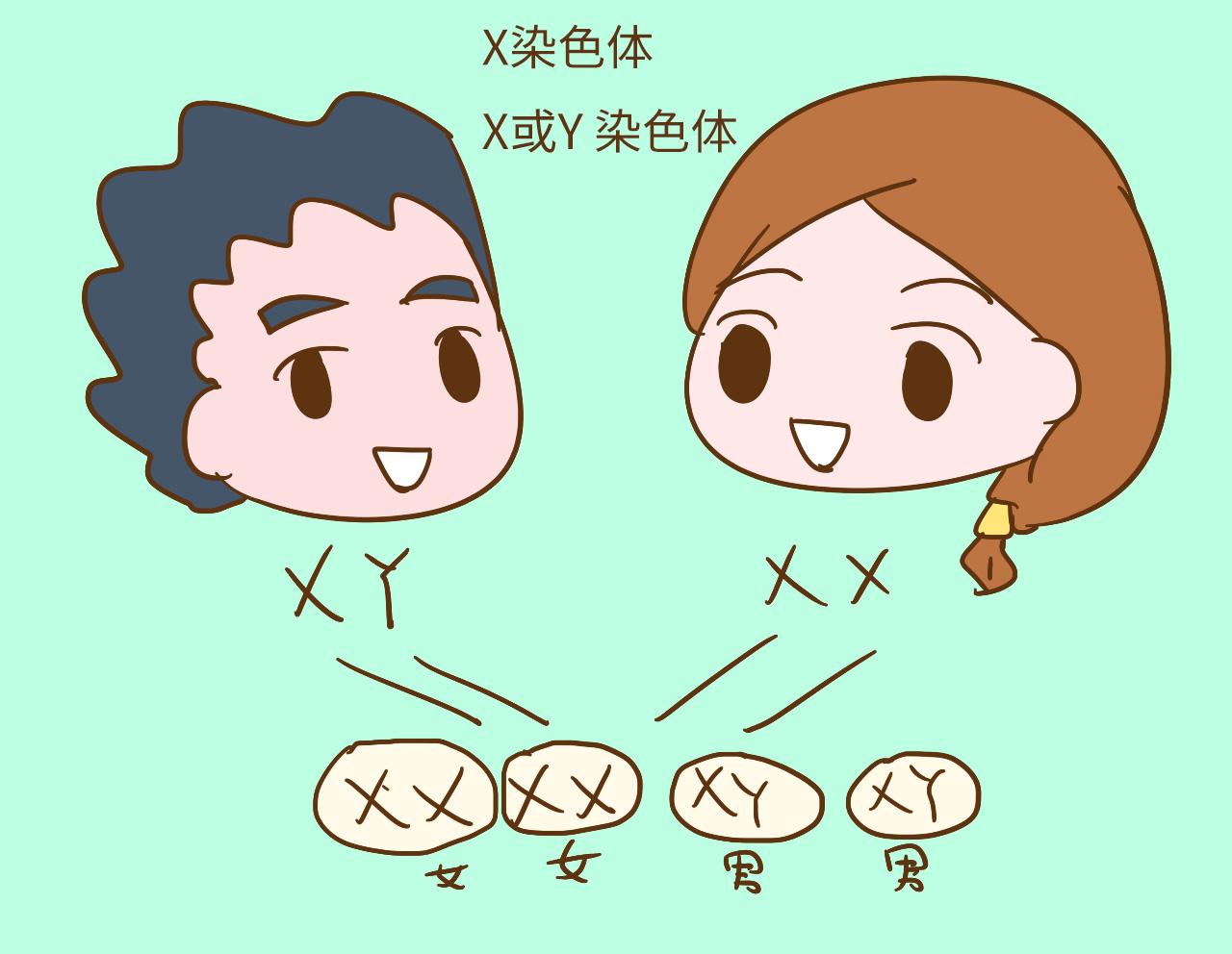 夫妻俩谁的基因决定孩子的性别、智商和外貌? 你可能都猜不到
