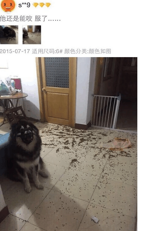 奇葩买家秀|弹力很好, 连上衣都省了