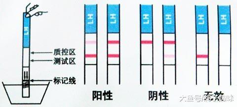排卵试纸怎么用? 听妇产科医生解说, 助你好孕!