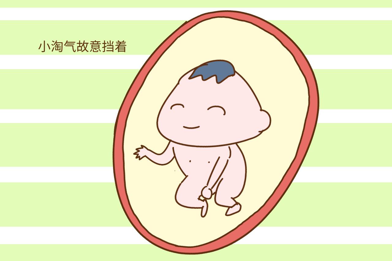 以为是女儿结果生了个儿子, 这“女翻男”来的猝不及防