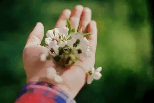 拽出苦涩的好短句, 经典个性签名