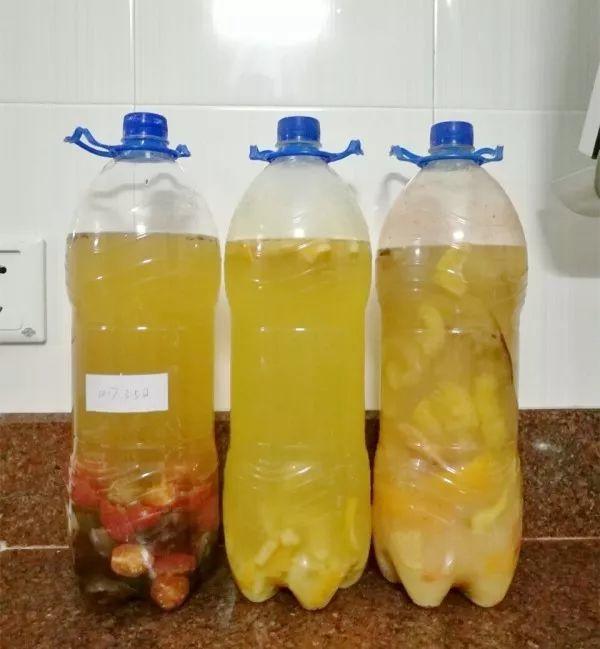 夏天施肥不能停, 浇水加点料, 根肥叶绿花呼呼开!