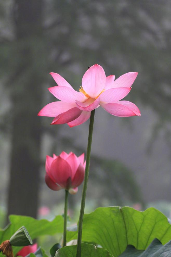 20条佛语经典语录, 句句修心养性(深度好文)