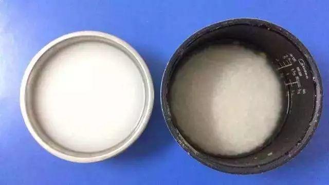 秋天一瓢“肥膘水”, 蟹爪兰呼呼长, 轻松养成小胖墩!