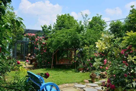 她用3年时间, 把鸡窝打造成了花园, 处处鸟语花香!