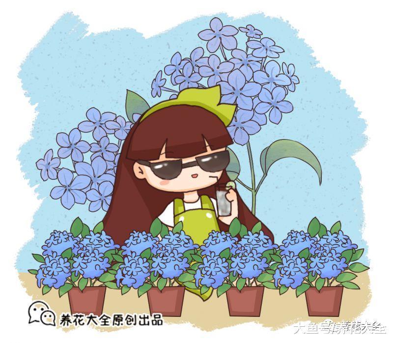 夏季养花就选这15种, 简单好养, 帮你过一个凉快的夏天!