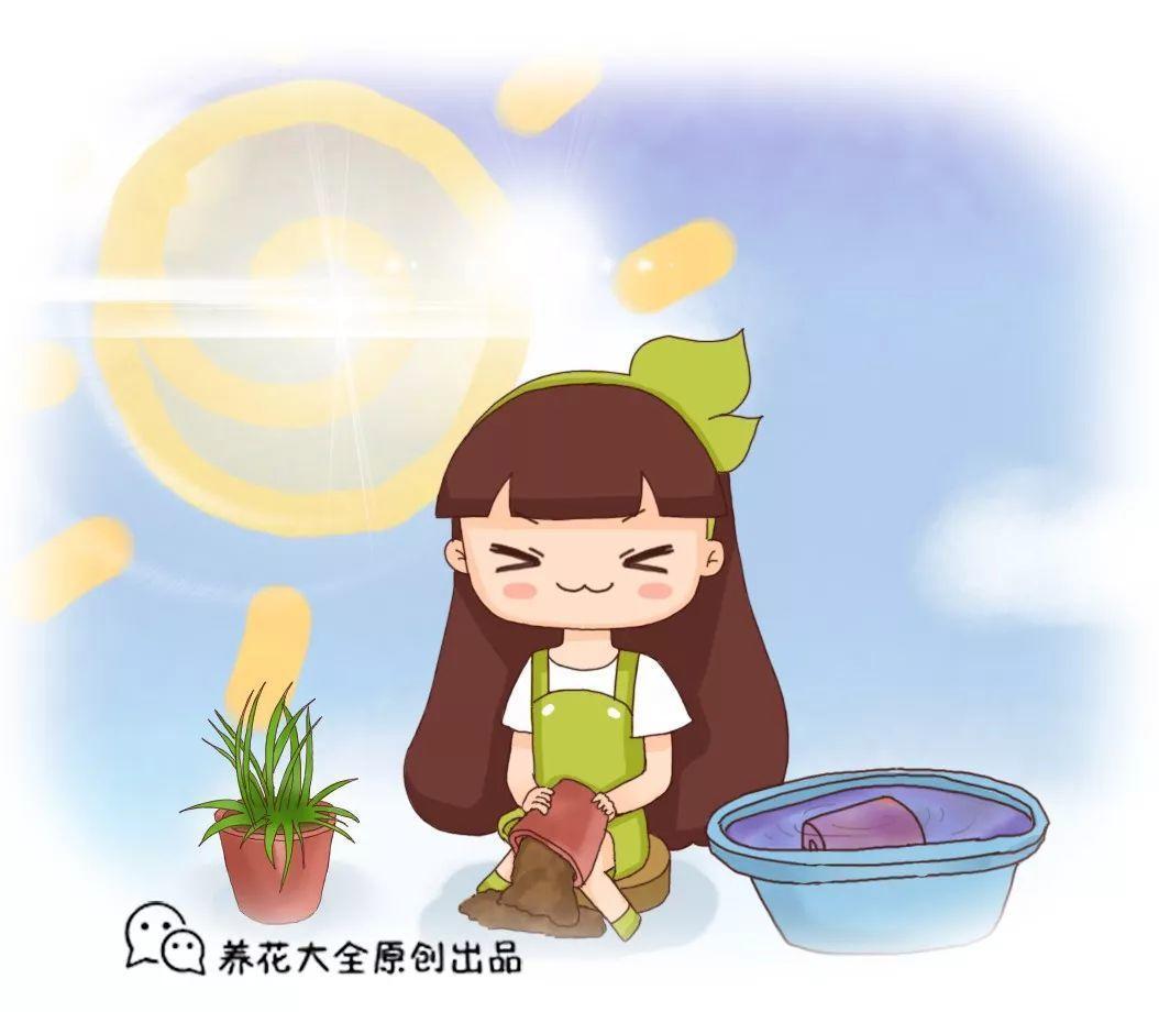 6种土肥的流油, 自家门口就有, 别花钱买土啦!