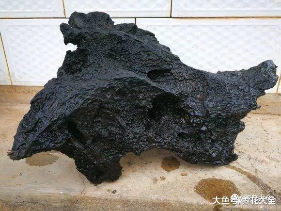 用树皮养石斛, 只要浇点水, 花枝蹭蹭长!