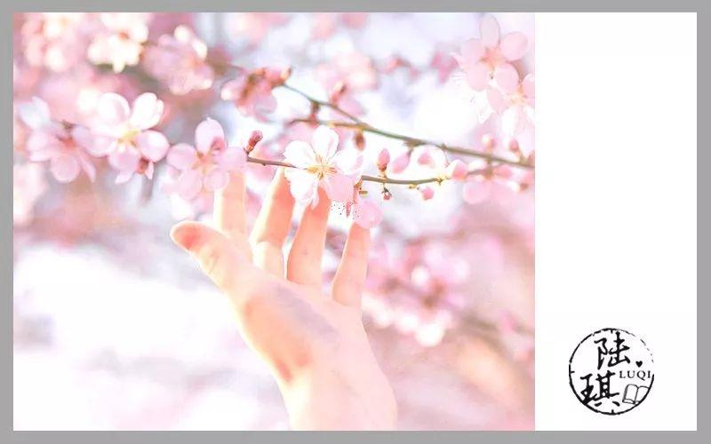 女人, 你可以选择单身, 但不要抗拒爱|200个爱上他的瞬间