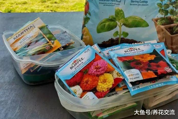 没有育苗盆可以用到这些废弃的材料, 让幼苗健壮生长