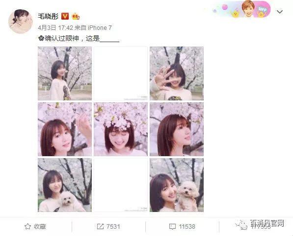 毛晓彤恋情“确认过眼神”是他? 网友: 比陈翔好看多了, 祝福你们