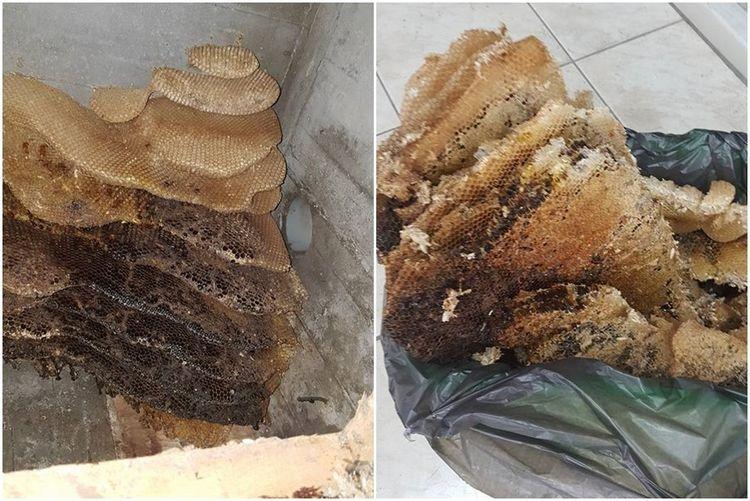 女子浴室墙壁总是流出黄色“蜜汁”, 拆开天花板后吓了一跳!