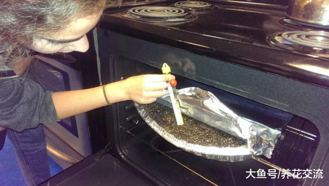 这四种方法都能很快清楚土壤中的病菌, 旧土也能用来循环养花