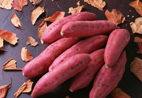 红薯好处多, 但这样的红薯万万不能碰, 吃过的人大部分都中毒!