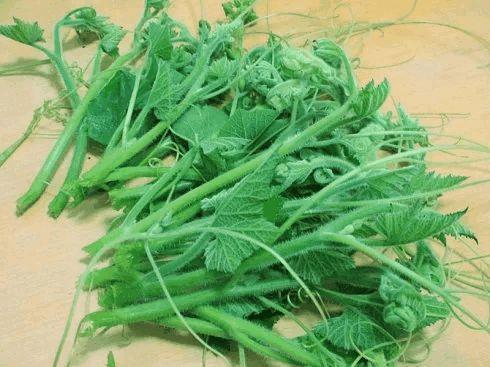 “地瓜叶”好处多, 简单好吃又开胃, 回家揪一把尝尝