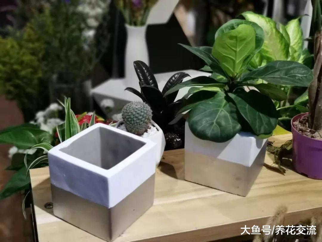 用废弃的材料制作混凝土花盆需要注意的几个技巧