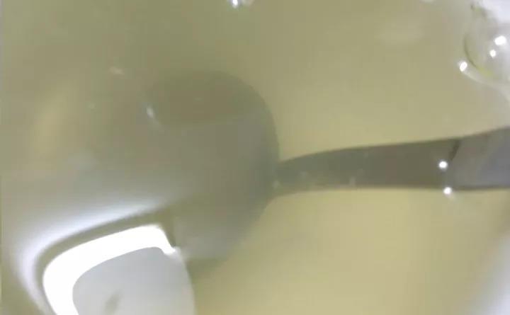 奶奶用鸡蛋养吊兰, 连抽60个芽, 长满萝卜根!