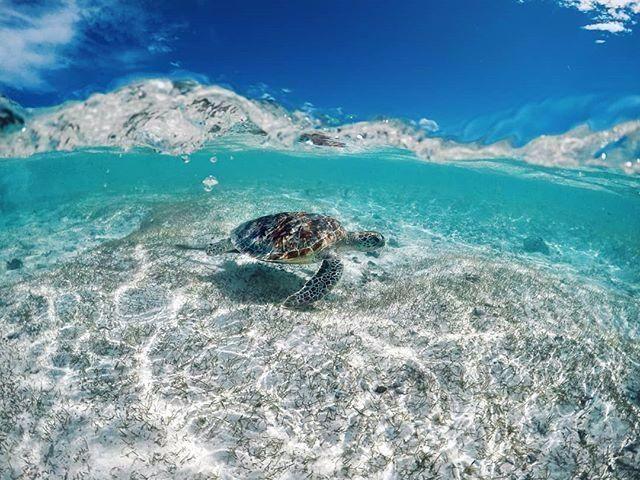 为八月发朋友圈, 准备的九句话