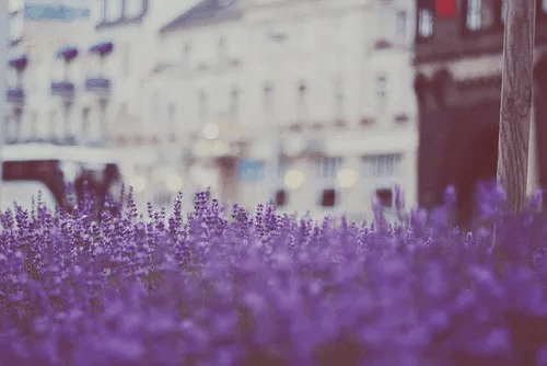 拽一点的霸气短句, 经典微信签名