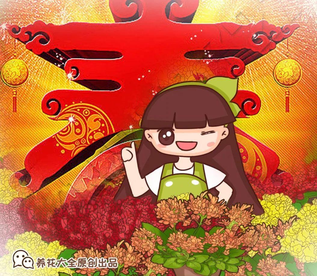 长寿花光长叶? 现在掐2下, 春节开成大花球!