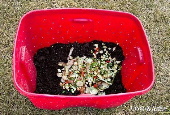 11个非常有创意的堆肥箱, 用家里废弃的木板和塑料桶就能制作