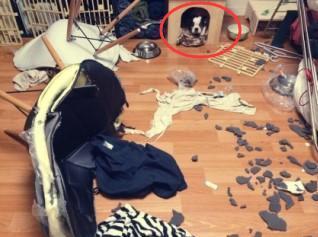 回家看到家里场面以为遭贼了, 原来是家里来了拆迁大队长