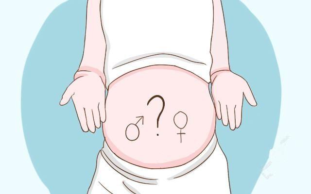 妇产科医生告诉你, 胎儿的性别到底是谁决定的