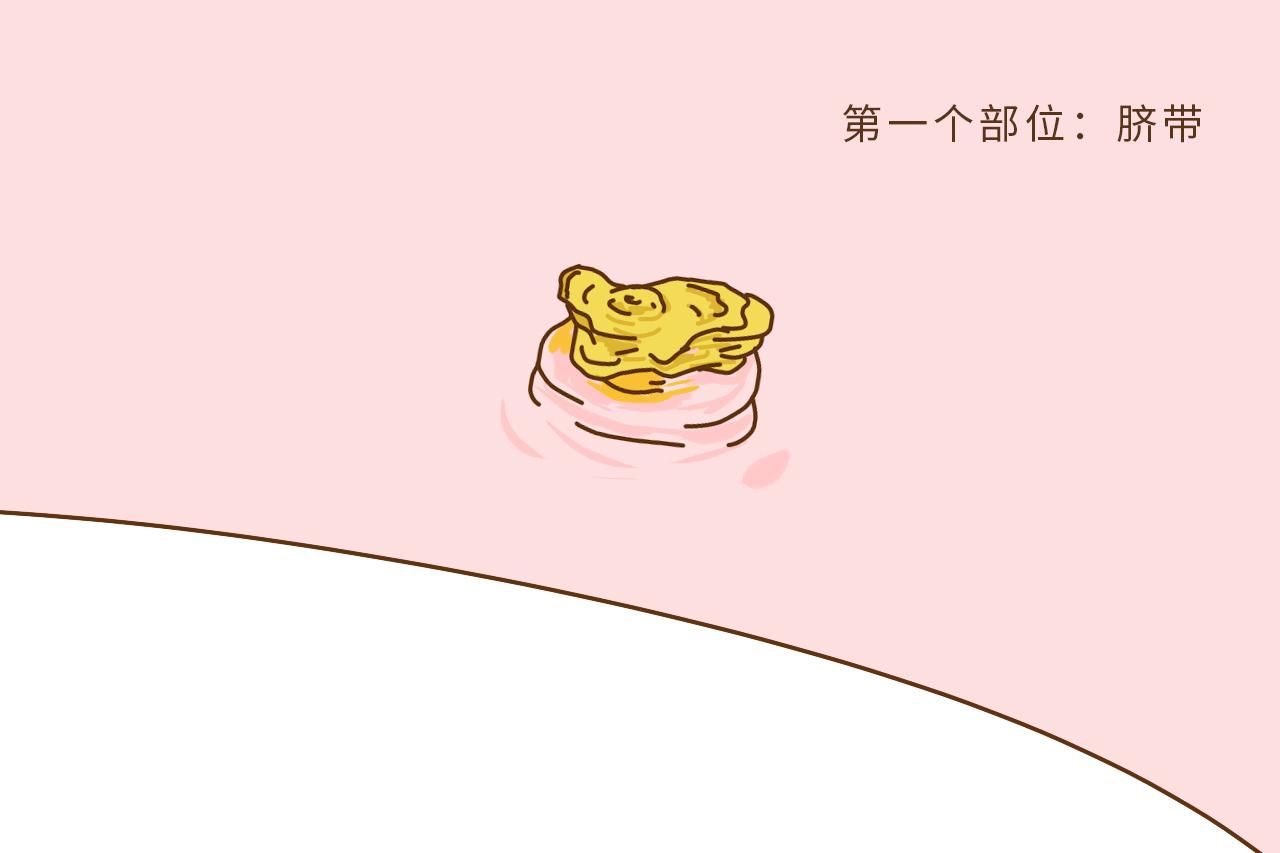 新生儿这2个部位洗不好, 孩子将来会有麻烦, 家长可别洗错了