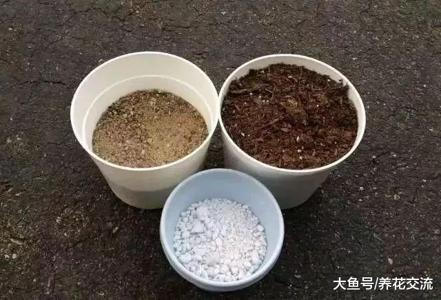 自己栽种多肉植物可以自制专用土壤, 很容易将多肉养活