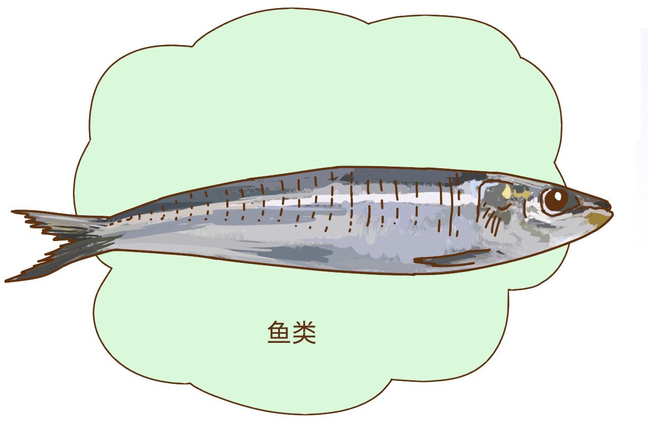 孩子常吃这几种食物, 会越来越聪明, 这些你都知道吗?