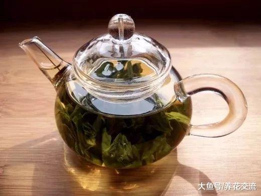 6种无害杀虫、施肥的有机方法, 养花生活变得简单健康