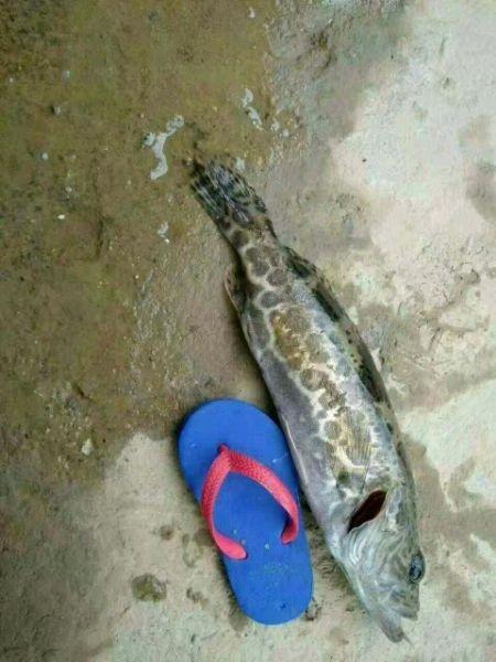 钓鱼拍照装逼专用，你值得拥有