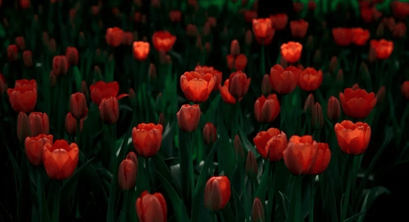 用了300秒整理好的短句, 最新个性签名