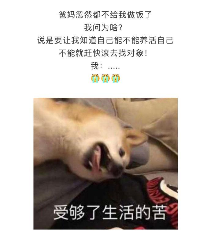 催催催! 爸妈催婚都用过的奇葩招数, 你爸妈是怎么催婚的? ????