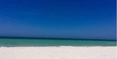 最近国外的网友又因为一张照片吵