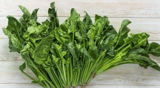 冬天气温低, 花盆撒上这“3种”籽, 不用大冷天出门买菜!