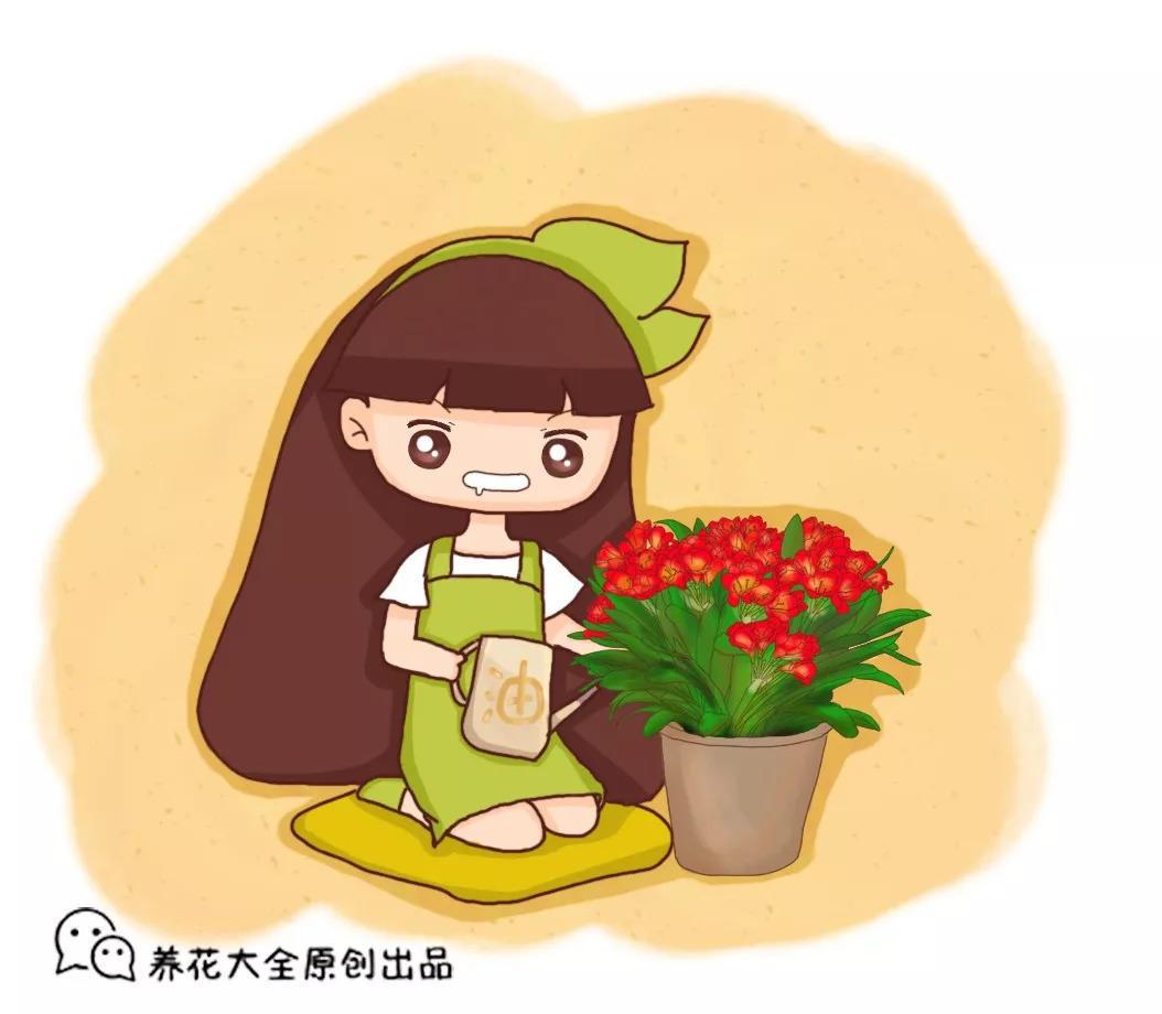 抽油烟机里的废油, 这6种花都爱吃, 倒几勺3年不用施肥了!