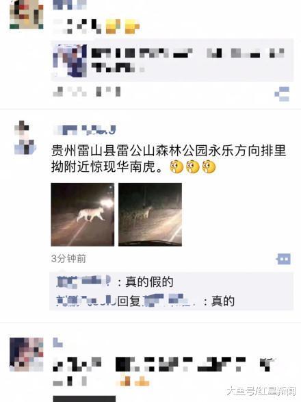 贵州雷公山森林公园附近惊现华南虎? 该森林公园回应: 假消息, 照片上的地方不在贵州, 或是网络图片
