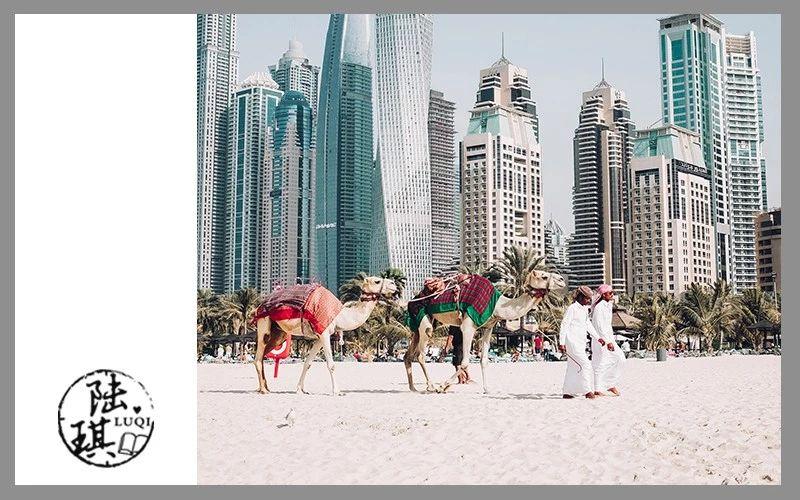 吵架愿意输给你的“嘴笨”男人, 心里才真的有你