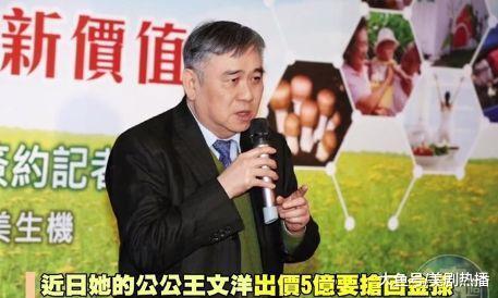 30亿豪门媳妇闹离婚, 男方开价5亿夺孙被拒, 如今又追加2亿豪宅!