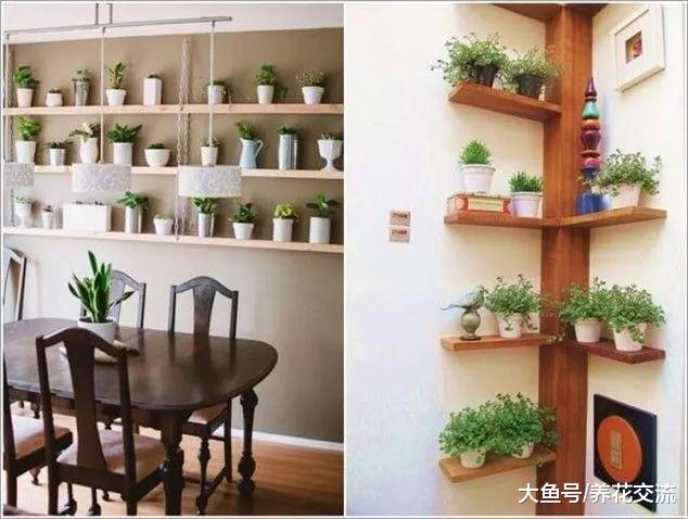 室内养护盆栽花卉的9个创意, 节省空间, 装饰清新家居