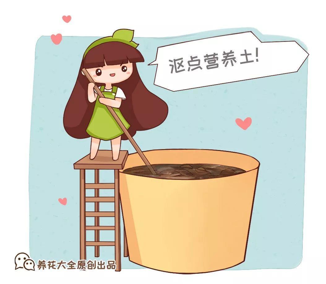 小东西掺土里, 胜过买的营养土, 养啥花都旺!