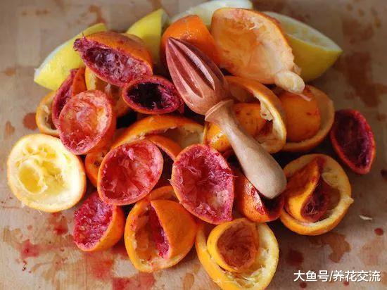 蔬菜、水果正确的保鲜方法, 这些生活技巧很是实用